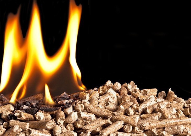 Da Rizzoli, l'accessorio che non ti aspetti.