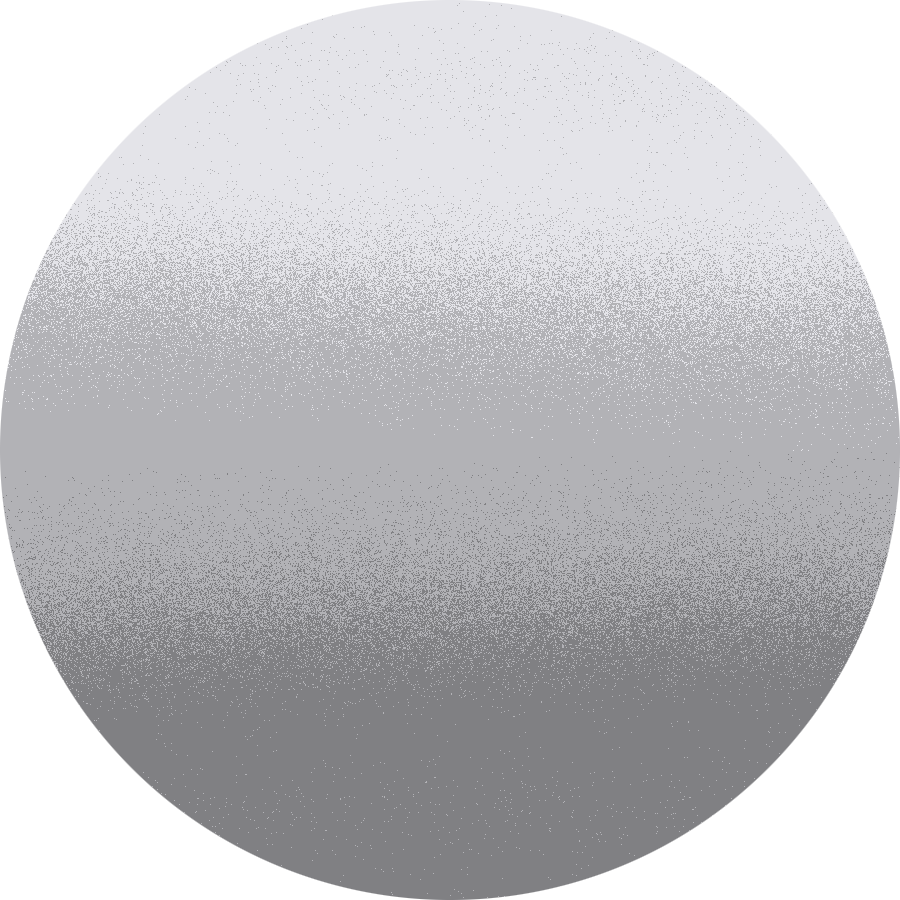 dettaglio Classica Silver (metallic)