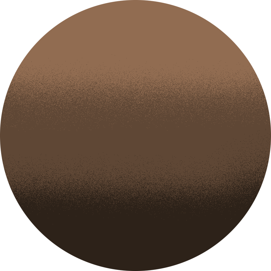 dettaglio Moderna bronzová (metalizovaná)